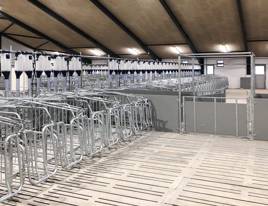 Nýuppsettar stíur og fóðurskammtarar frá Vissing Agro í svínahúsi