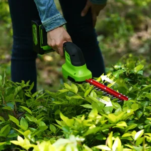 Greenworks 24V hekk- og grasklippur – laufgaður runni snyrtur