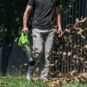 Greenworks 48V laufblásari - Image 6